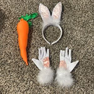 Bunny Dance Recital Costume